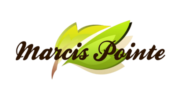 Marcis Pointe logo